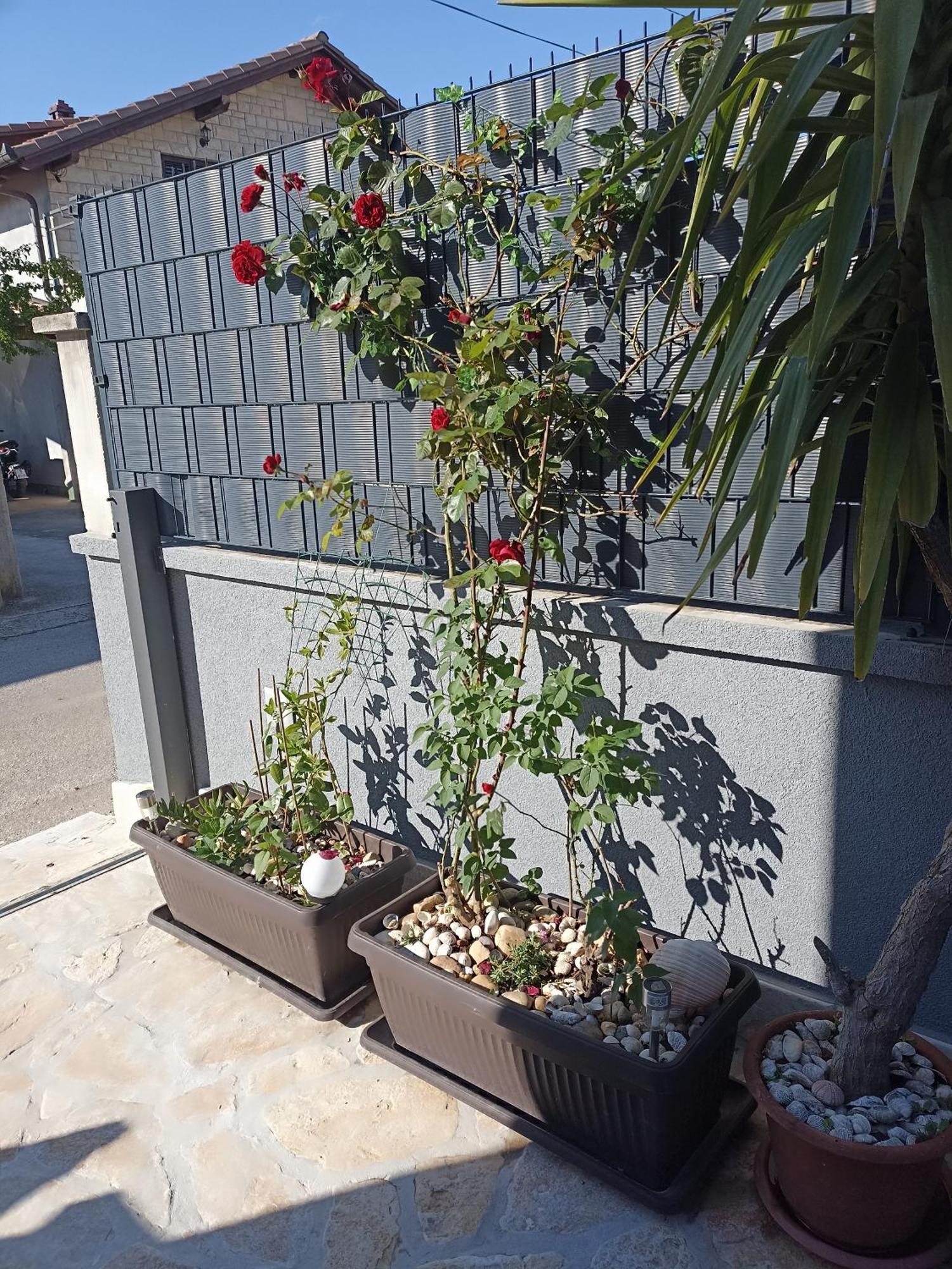Ferienwohnung Apartman Lara Zadar Exterior foto